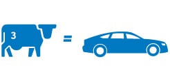 Ícone de um animal bovino com o número três estampado nele; à direita dele, há um sinal de igual e, em seguida, o ícone de um automóvel