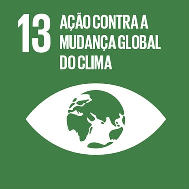 Imagem que representa o ODS número Treze - Ação contra a mudança global do clima, com fundo verde e o ícone de um olho com o globo terrestre no centro.