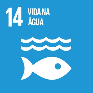 Imagem que representa o ODS número Quatorze – Vida na água, com fundo azul e os ícones de água e peixe.