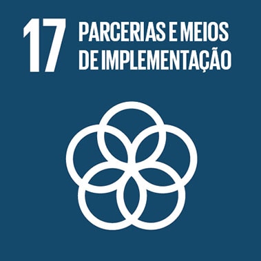Imagem que representa o ODS número Dezessete – Parcerias e meios de implementação, com fundo azul-escuro e um ícone com círculos interligados.
