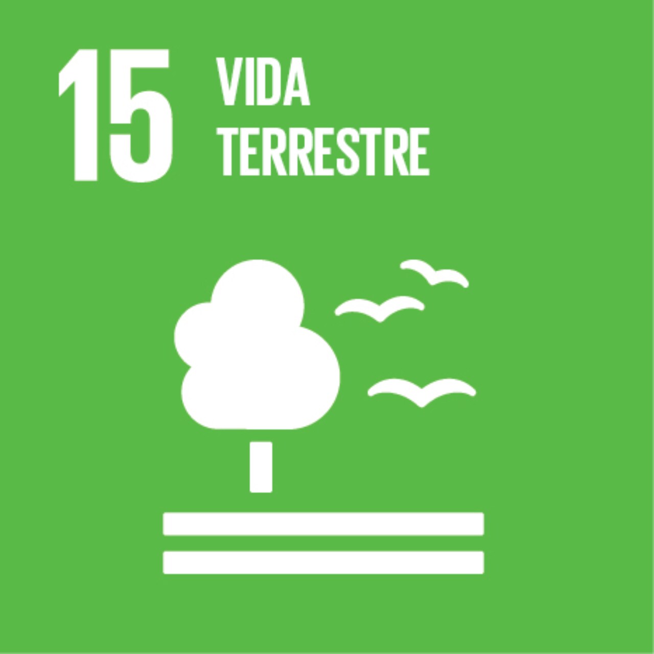 Imagem que representa o ODS número Quinze – Vida terrestre, com fundo verde e os ícones de pássaros e árvore.