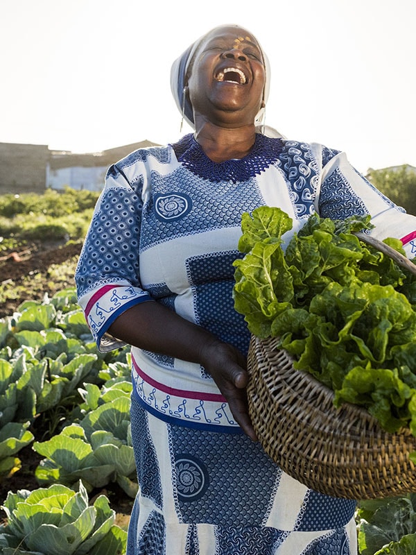 Mulher gargalhando, carregando uma cesta com verduras em meio a uma plantação