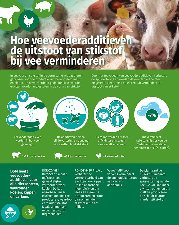 Hoe veevoederadditieven de uitstoot van stikstof bij vee verminderen