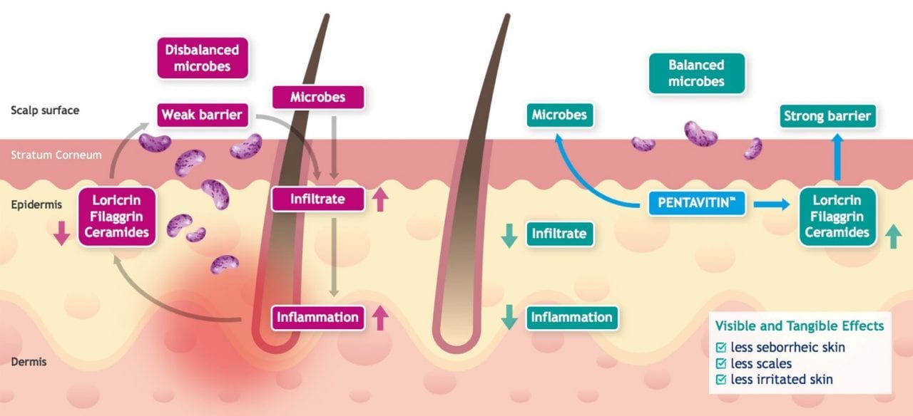 EPIBIOME BEAUTY skin microbiome approach