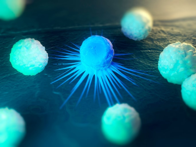 Immune response to cancer. Computer artwork of white blood cells (green) attacking a cancerous cell (blue).