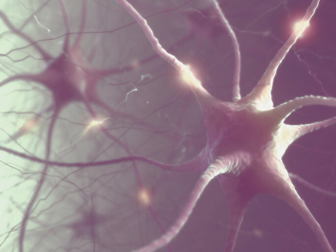 Nerve cells of the human brain, illustration.