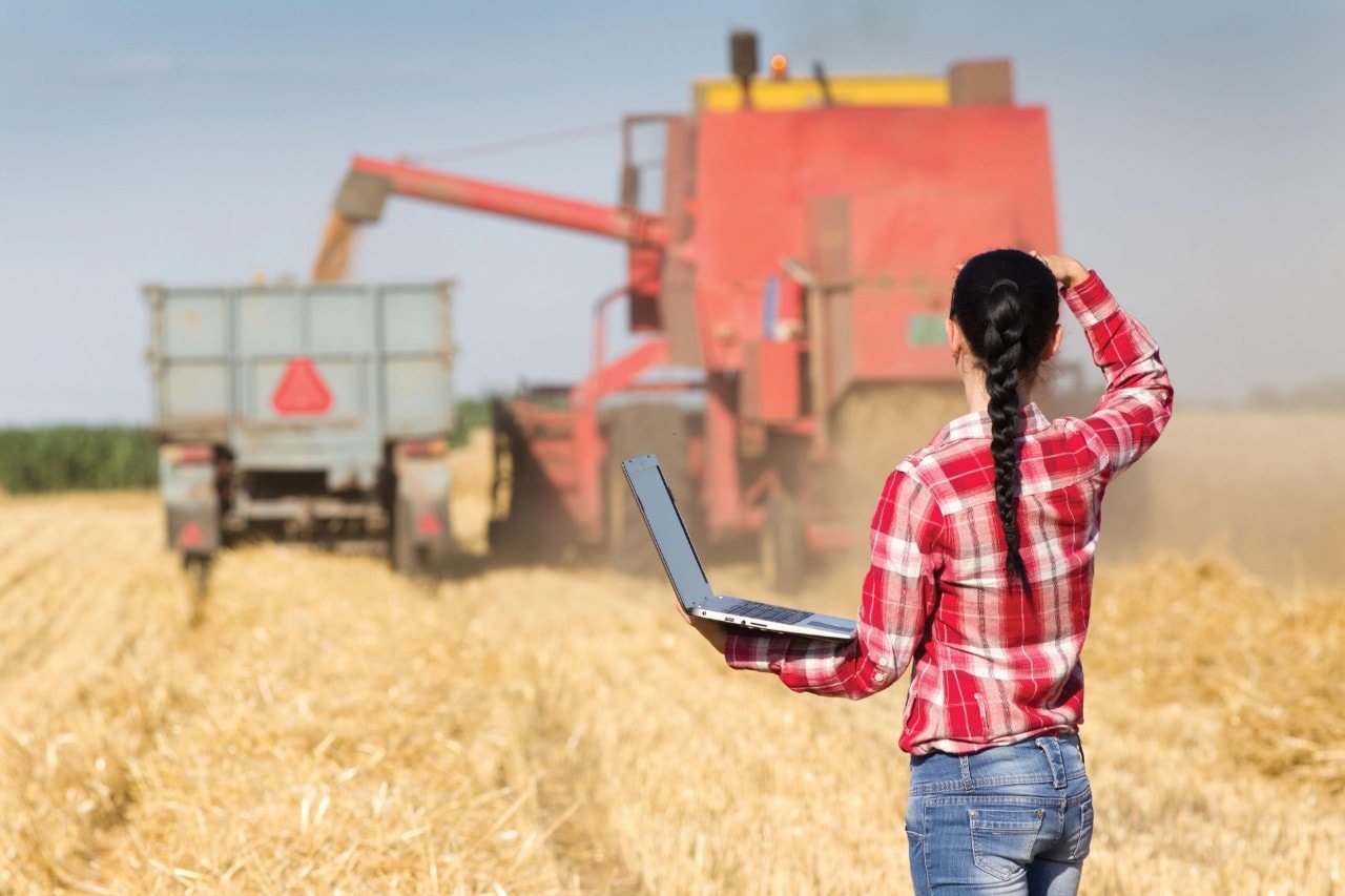 Young beautiful woman in plaid shirt standing with laptop in wheat field and looking at combine harvester and tractor trailer