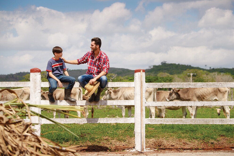 Everyday life for farmer with cows in the countryside. Peasant work in South America with livestock in family country ranch. Happy father and son smiling and spending time together.