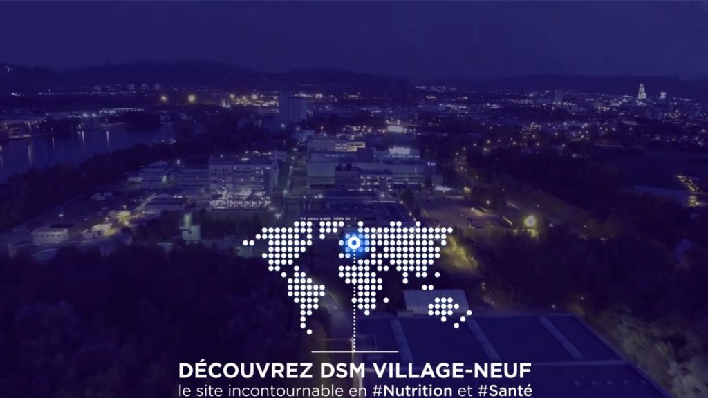 DSM Village Neuf DSM Nutritional Products France